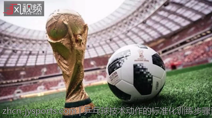 乒乓球技术动作的标准化训练步骤详解